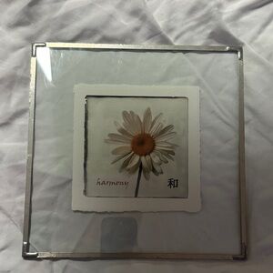 Harmony- Glass Frame with Daisy Artwork -Rick Filler
